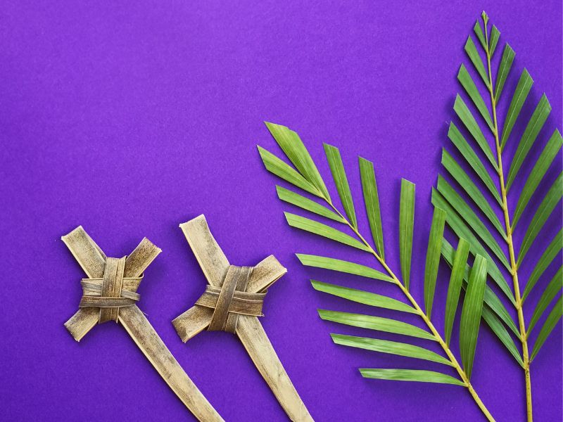 palm branches and crosses on a purple background
