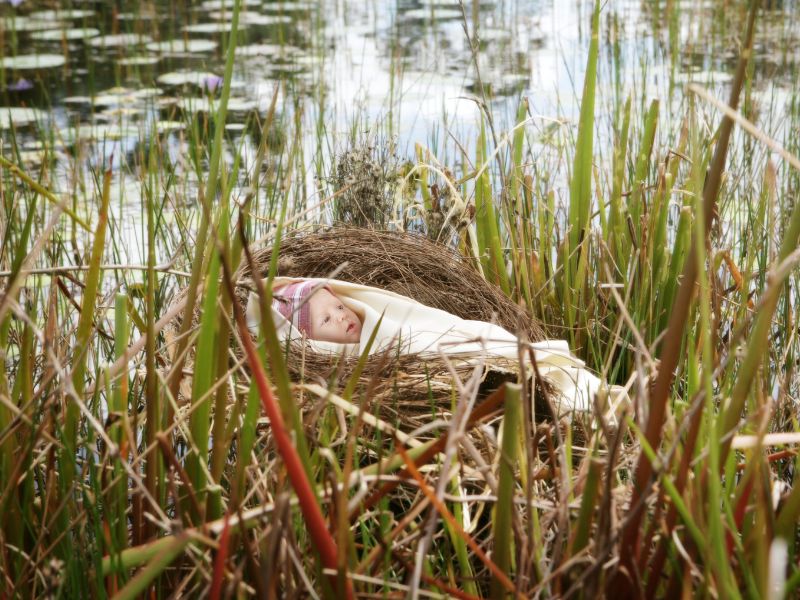Baby Moses in a basket in the reeds