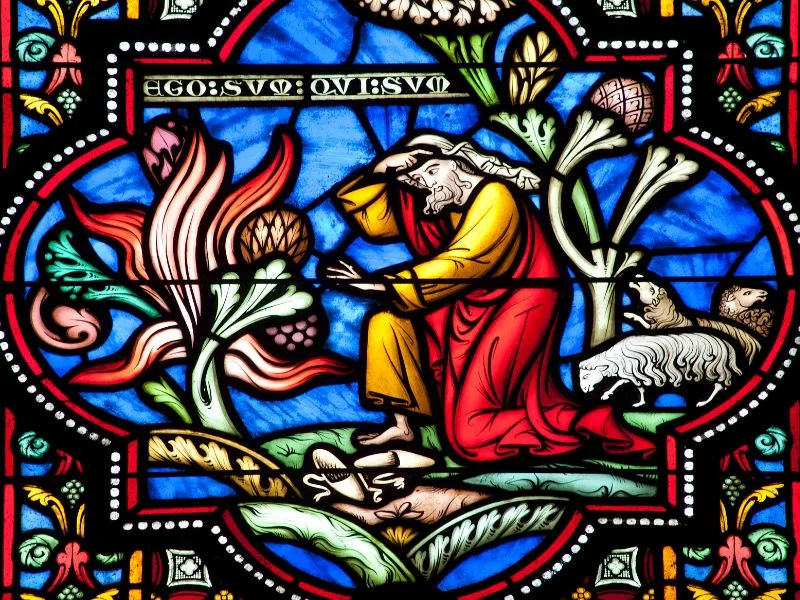 stained glass window depicting Moses at the burning bush