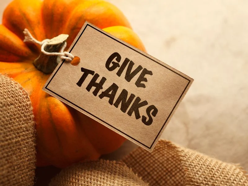 Pumpkin with a sign that says Give Thanks