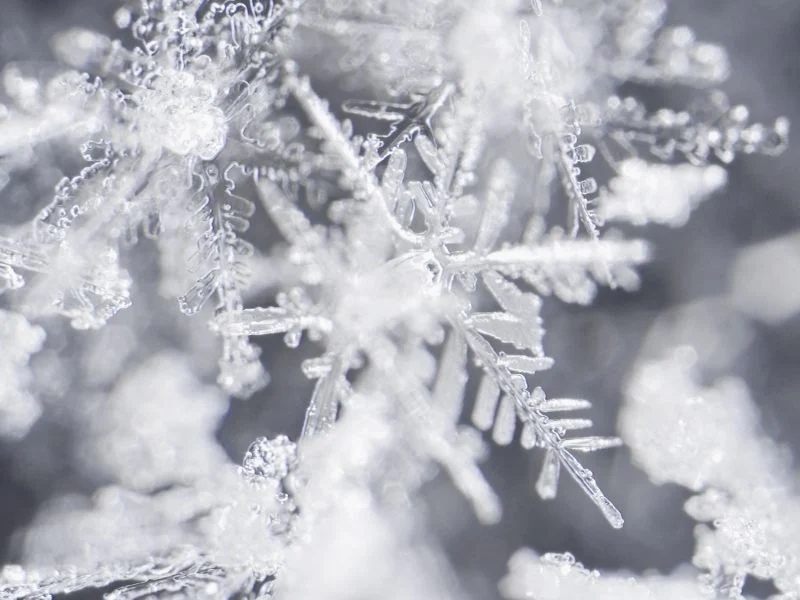 snowflakes