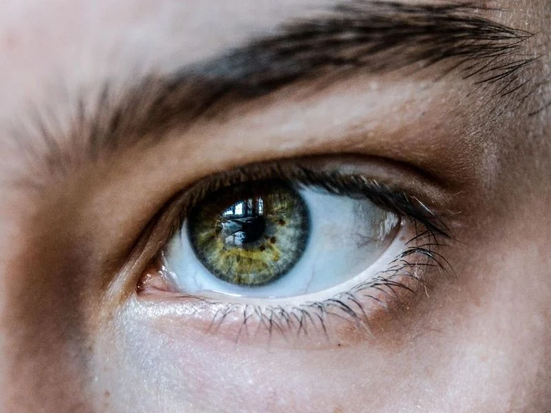 human eye