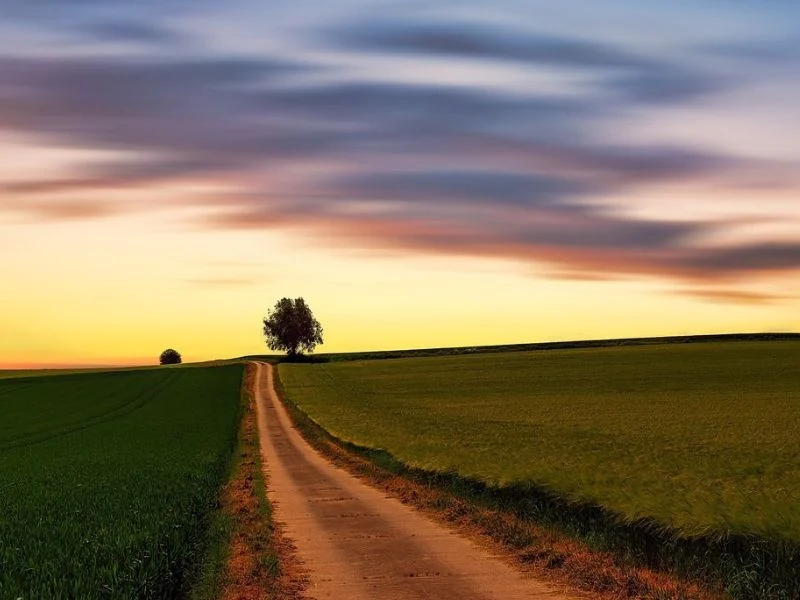 A path leading to a beautiful sunrise